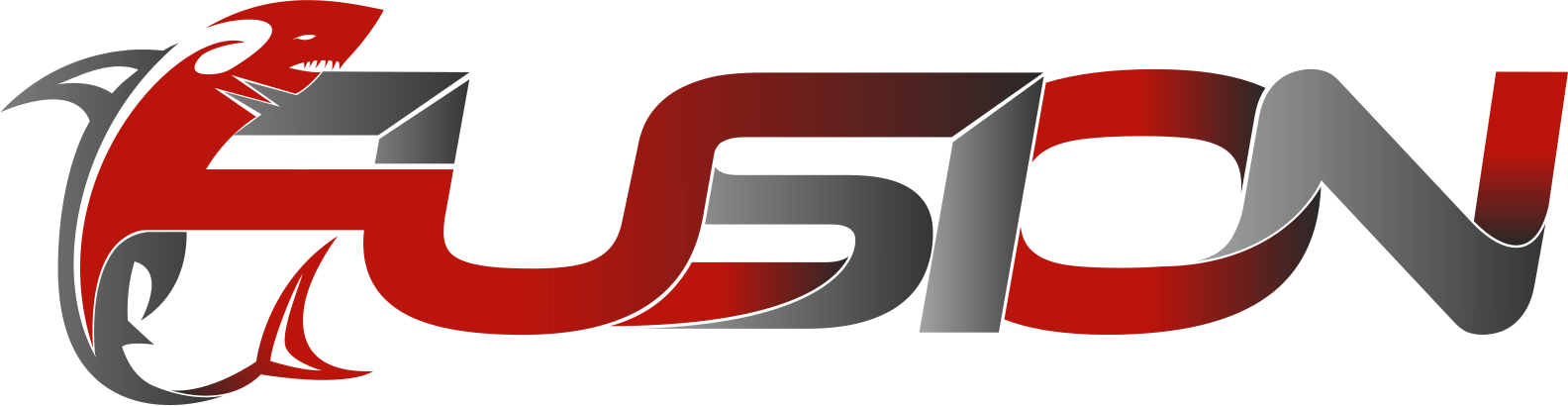 Fusion MMA & Jiu Jitsu logo