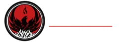 Rise Mixed Martial Arts logo