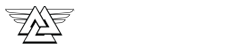Immersion Mixed Martial Arts logo