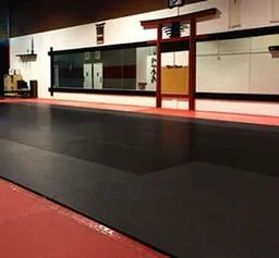 Gracie Combat Jiu-Jitsu Academy logo