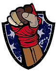 Bellingham Zenith BJJ logo