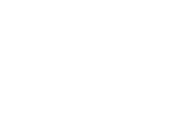 Seattle Jiu-Jitsu Academy logo
