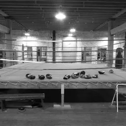Spokane Boxing Gym logo