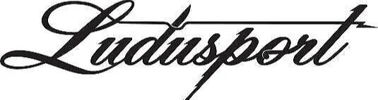 Ludusport Academy & Gym logo