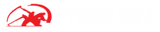 T-Town MMA/Checkmat Tacoma logo